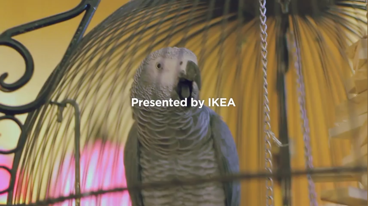 IKEA 新品上市 X 名人篇