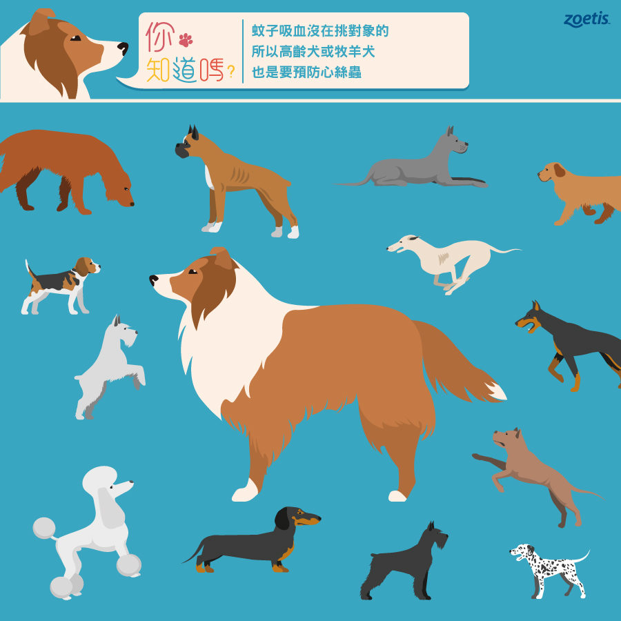 寵愛心思_Do You Know_Q4_0910